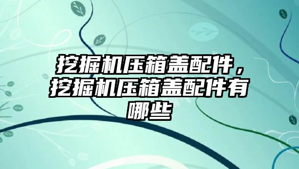 挖掘機壓箱蓋配件，挖掘機壓箱蓋配件有哪些