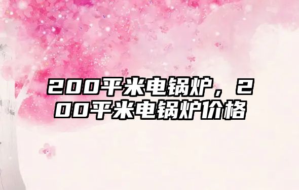 200平米電鍋爐，200平米電鍋爐價(jià)格