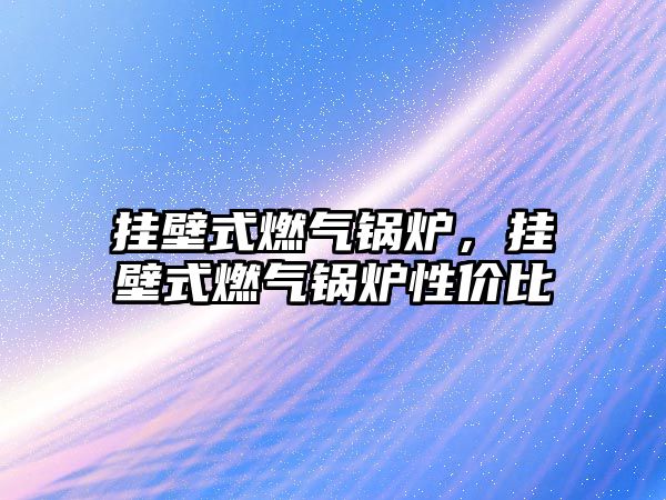 掛壁式燃?xì)忮仩t，掛壁式燃?xì)忮仩t性價比