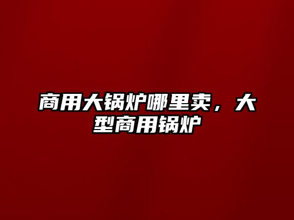 商用大鍋爐哪里賣，大型商用鍋爐