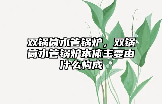 雙鍋筒水管鍋爐，雙鍋筒水管鍋爐本體主要由什么構(gòu)成