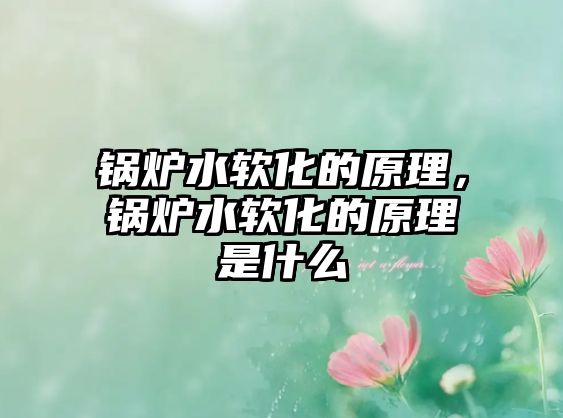 鍋爐水軟化的原理，鍋爐水軟化的原理是什么