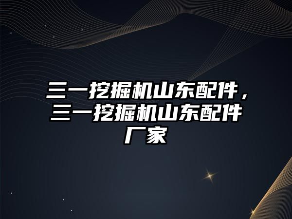 三一挖掘機山東配件，三一挖掘機山東配件廠家