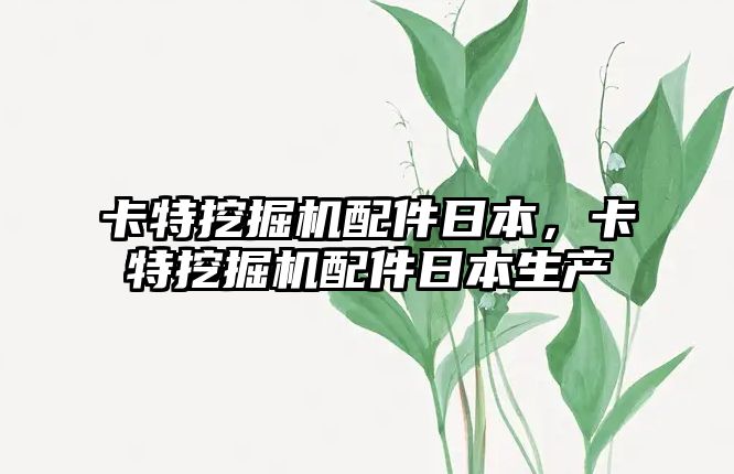 卡特挖掘機配件日本，卡特挖掘機配件日本生產