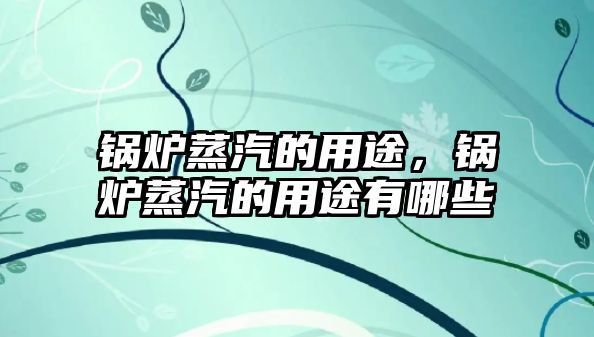 鍋爐蒸汽的用途，鍋爐蒸汽的用途有哪些