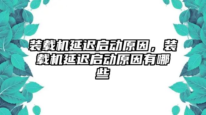 裝載機(jī)延遲啟動(dòng)原因，裝載機(jī)延遲啟動(dòng)原因有哪些