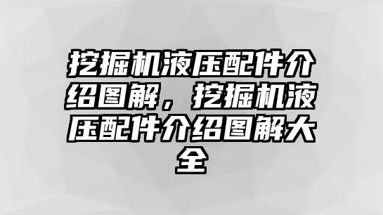 挖掘機液壓配件介紹圖解，挖掘機液壓配件介紹圖解大全