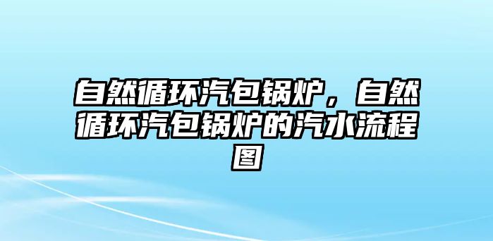 自然循環(huán)汽包鍋爐，自然循環(huán)汽包鍋爐的汽水流程圖