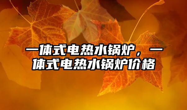 一體式電熱水鍋爐，一體式電熱水鍋爐價格