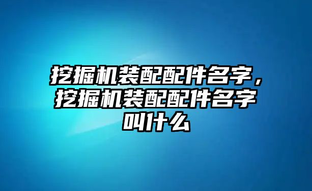 挖掘機(jī)裝配配件名字，挖掘機(jī)裝配配件名字叫什么