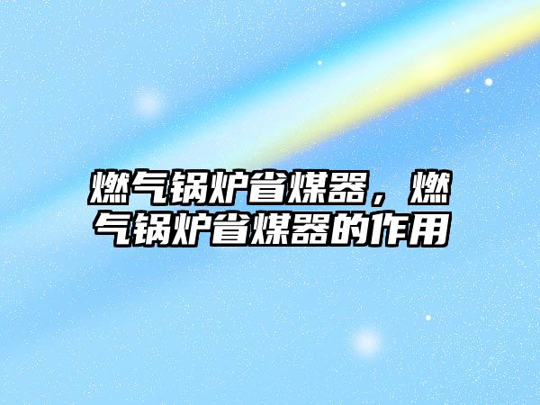 燃?xì)忮仩t省煤器，燃?xì)忮仩t省煤器的作用