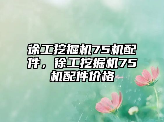 徐工挖掘機75機配件，徐工挖掘機75機配件價格