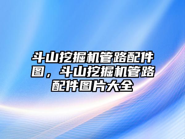 斗山挖掘機管路配件圖，斗山挖掘機管路配件圖片大全