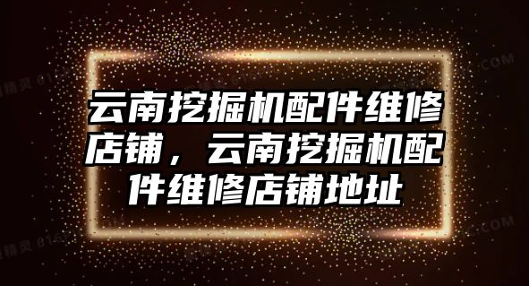 云南挖掘機(jī)配件維修店鋪，云南挖掘機(jī)配件維修店鋪地址