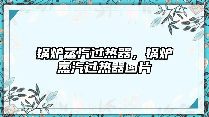 鍋爐蒸汽過(guò)熱器，鍋爐蒸汽過(guò)熱器圖片