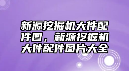 新源挖掘機(jī)大件配件圖，新源挖掘機(jī)大件配件圖片大全