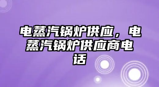 電蒸汽鍋爐供應，電蒸汽鍋爐供應商電話