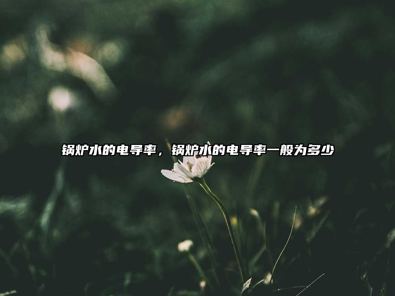 鍋爐水的電導(dǎo)率，鍋爐水的電導(dǎo)率一般為多少