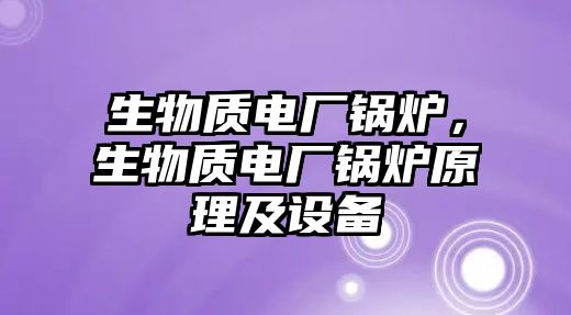 生物質(zhì)電廠鍋爐，生物質(zhì)電廠鍋爐原理及設(shè)備