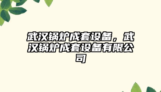 武漢鍋爐成套設(shè)備，武漢鍋爐成套設(shè)備有限公司