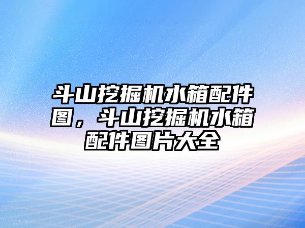 斗山挖掘機水箱配件圖，斗山挖掘機水箱配件圖片大全