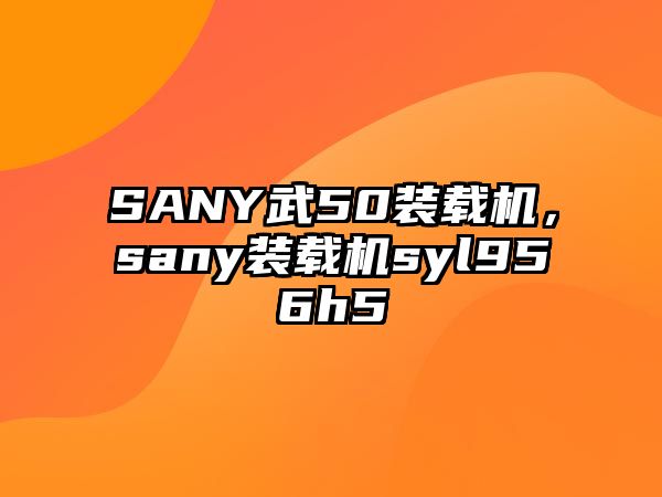 SANY武50裝載機(jī)，sany裝載機(jī)syl956h5