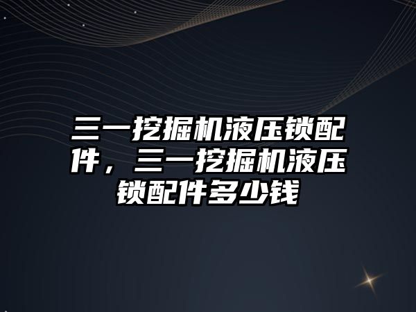 三一挖掘機液壓鎖配件，三一挖掘機液壓鎖配件多少錢