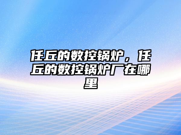 任丘的數(shù)控鍋爐，任丘的數(shù)控鍋爐廠在哪里