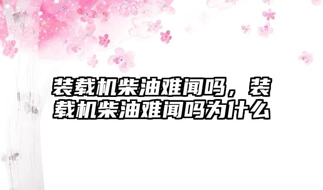 裝載機柴油難聞嗎，裝載機柴油難聞嗎為什么