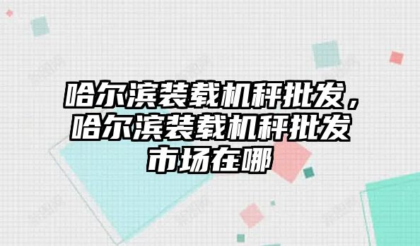 哈爾濱裝載機(jī)秤批發(fā)，哈爾濱裝載機(jī)秤批發(fā)市場(chǎng)在哪