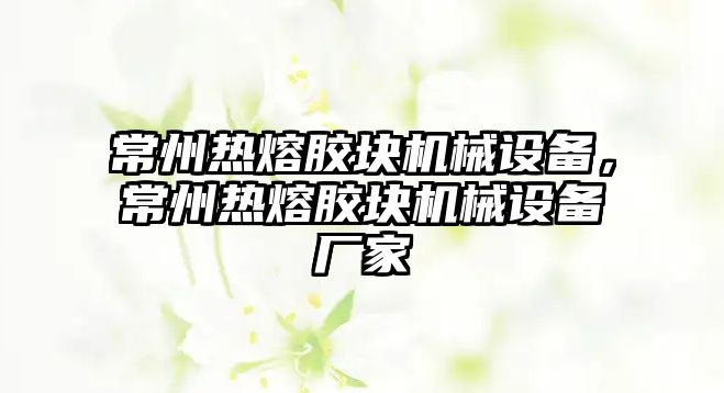 常州熱熔膠塊機械設(shè)備，常州熱熔膠塊機械設(shè)備廠家