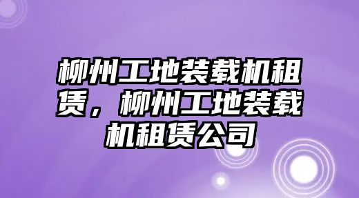 柳州工地裝載機租賃，柳州工地裝載機租賃公司