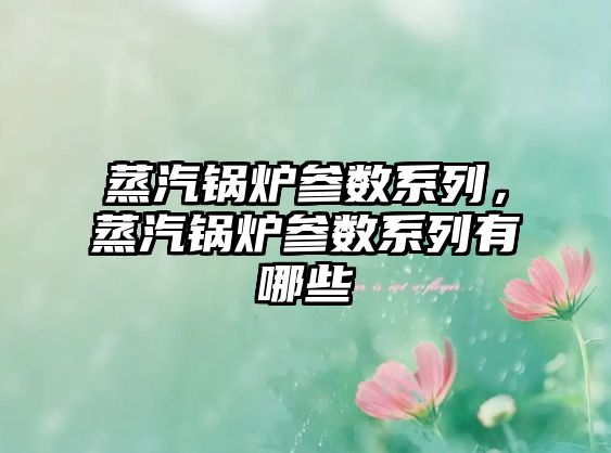 蒸汽鍋爐參數(shù)系列，蒸汽鍋爐參數(shù)系列有哪些