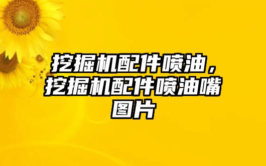 挖掘機配件噴油，挖掘機配件噴油嘴圖片