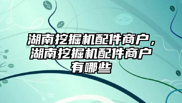 湖南挖掘機配件商戶，湖南挖掘機配件商戶有哪些