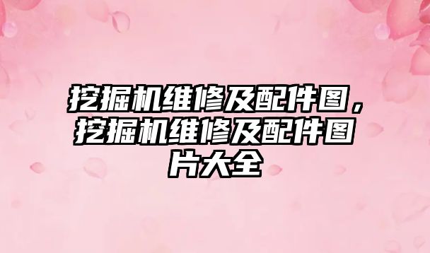 挖掘機維修及配件圖，挖掘機維修及配件圖片大全