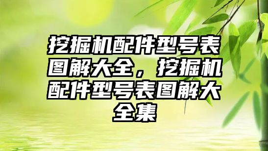 挖掘機配件型號表圖解大全，挖掘機配件型號表圖解大全集