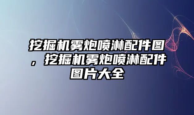 挖掘機霧炮噴淋配件圖，挖掘機霧炮噴淋配件圖片大全