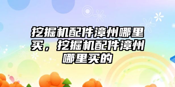 挖掘機配件漳州哪里買，挖掘機配件漳州哪里買的