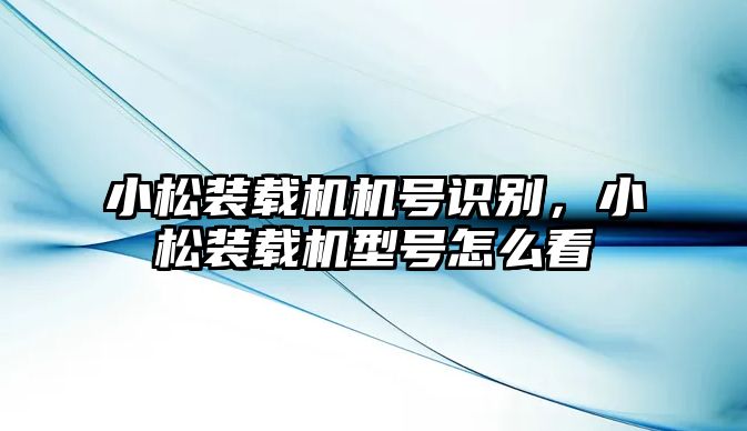 小松裝載機機號識別，小松裝載機型號怎么看