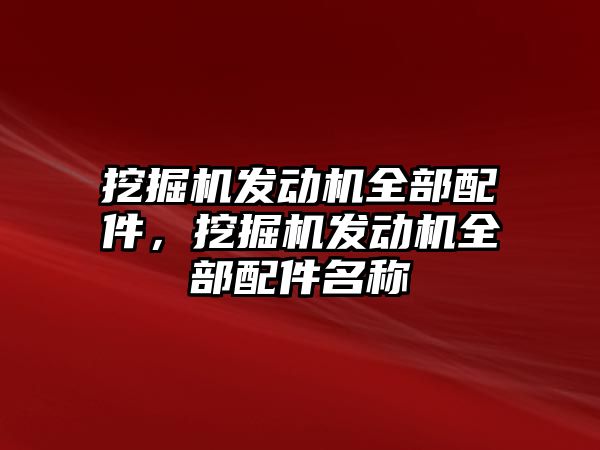 挖掘機發(fā)動機全部配件，挖掘機發(fā)動機全部配件名稱