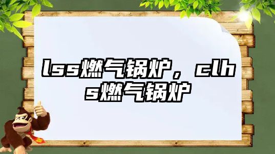 lss燃?xì)忮仩t，clhs燃?xì)忮仩t