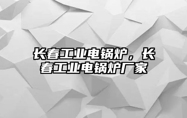 長春工業(yè)電鍋爐，長春工業(yè)電鍋爐廠家