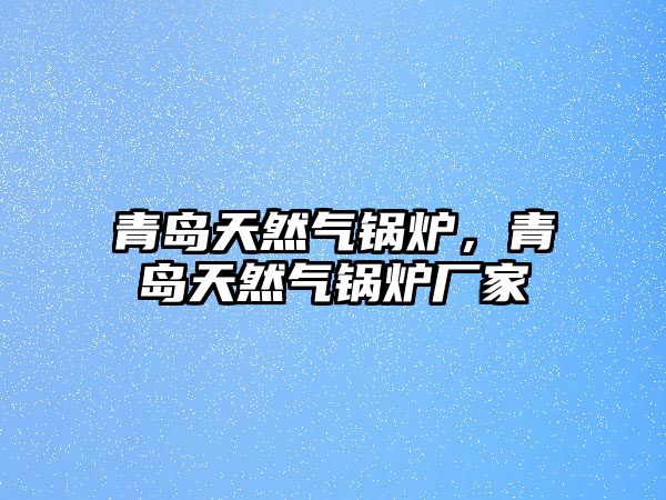 青島天然氣鍋爐，青島天然氣鍋爐廠家