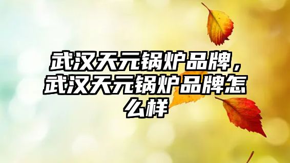 武漢天元鍋爐品牌，武漢天元鍋爐品牌怎么樣