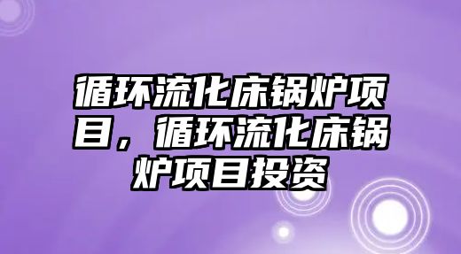 循環(huán)流化床鍋爐項目，循環(huán)流化床鍋爐項目投資