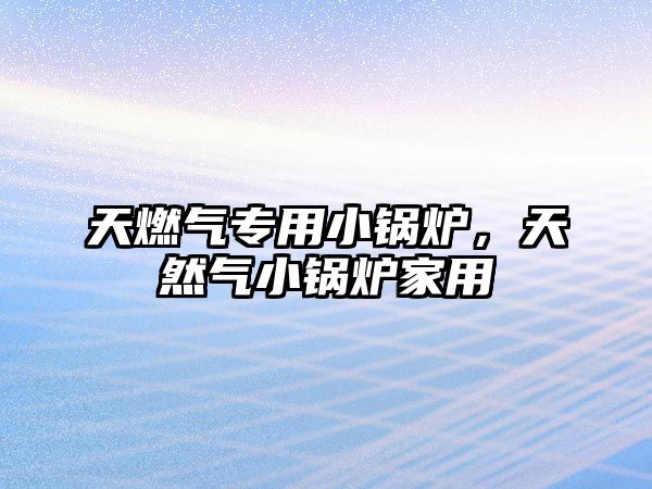 天燃?xì)鈱Ｓ眯″仩t，天然氣小鍋爐家用