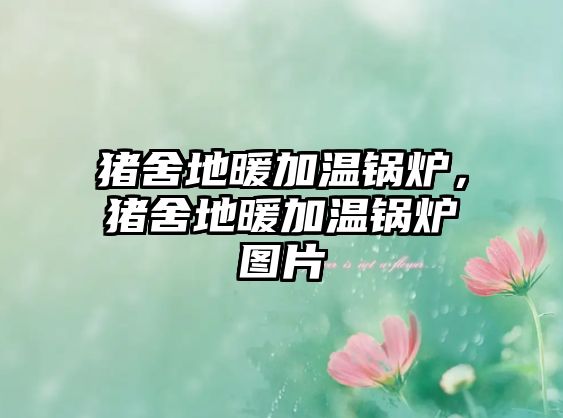 豬舍地暖加溫鍋爐，豬舍地暖加溫鍋爐圖片