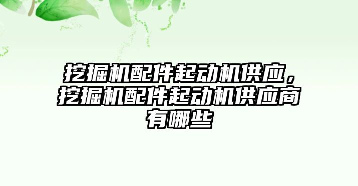 挖掘機配件起動機供應(yīng)，挖掘機配件起動機供應(yīng)商有哪些