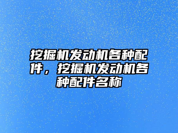 挖掘機發(fā)動機各種配件，挖掘機發(fā)動機各種配件名稱